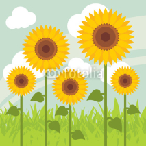 Fototapety Yellow sunflowers landscape background illustration