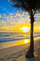 Obrazy i plakaty sunset above the sea