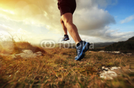 Naklejki Healthy trail run