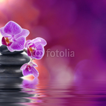 Fototapety natural floral background, spa concept