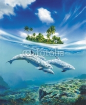 Obrazy i plakaty Dolphin Family