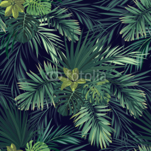 Fototapety Seamless hand drawn botanical exotic vector pattern with green palm leaves on dark background.