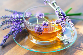 Fototapety Lavendeltee