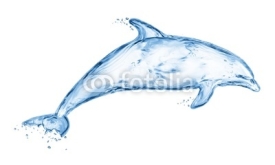 Fototapety dolphin made out of water splashes