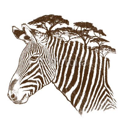 Zebra with tree