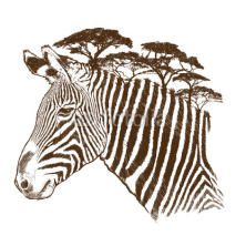 Obrazy i plakaty Zebra with tree