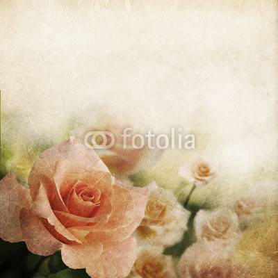 Retro rose background