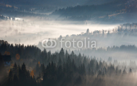Fototapety First sunrise rays of sun in Carpathian mountains.