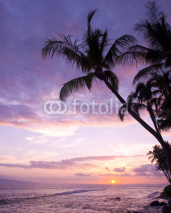 Fototapety Tropical Sunset