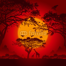 Naklejki African sunset