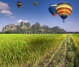 Fototapety Balloon fly