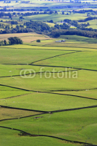 Fototapety green fields