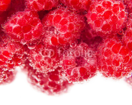 Obrazy i plakaty raspberry close-up