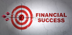 Money concept: target and Financial Success on wall background