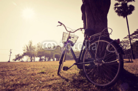 Naklejki Vintage bicycle waiting near tree