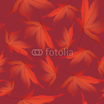 Obrazy i plakaty Autumn maple leaves seamless pattern background