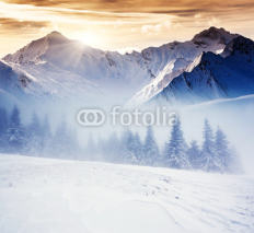 Fototapety winter