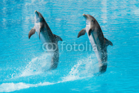 Naklejki Delfines