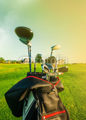 Golf club. Bag with golf clubs