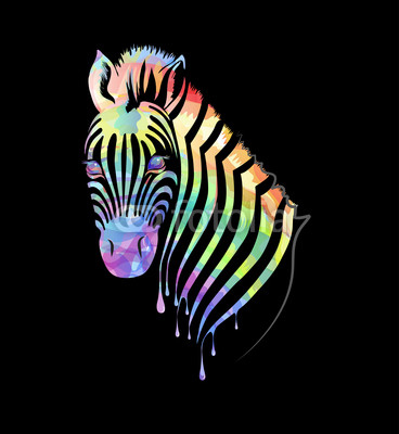Colored abstract zebra on black background