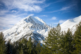 Fototapety winter mountains