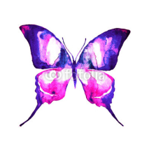 Fototapety butterfly,watercolor design