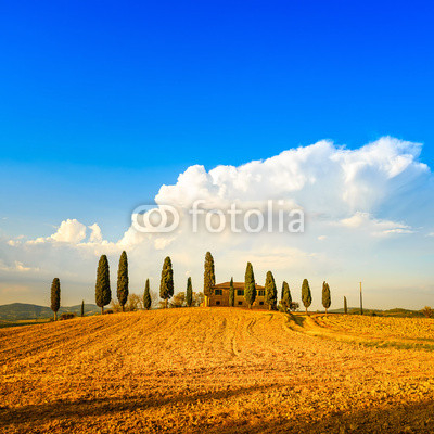 Tuscany, farmland, cypress trees and white road. Siena, Val d Or