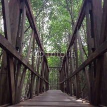 Naklejki wooden bridge in forest