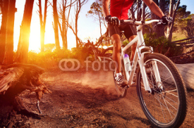 Fototapety mountain bike athlete