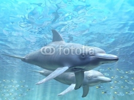Naklejki Dolphins