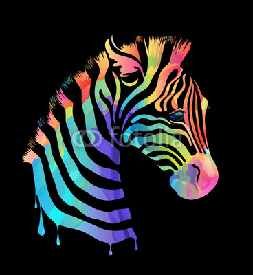 Colored zebra on black