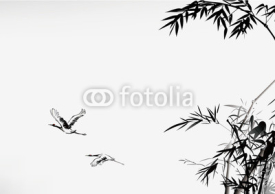 Fototapety bamboo and crane