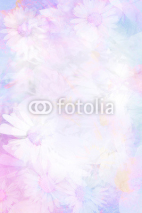 Fototapety Pretty daisies artistic background