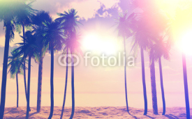 Obrazy i plakaty 3D palm trees and ocean with vintage effect
