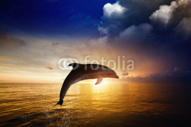 Naklejki Dolphin jumping