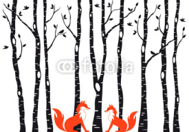 Fototapety Cute foxes with birch trees, vector