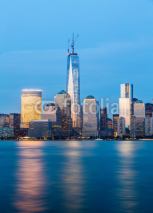 Obrazy i plakaty Skyline of Lower Manhattan at night