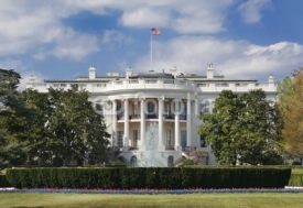 Fototapety white house