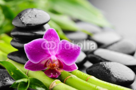 Naklejki orchid