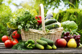Fototapety Fresh organic vegetables in wicker basket in the garden