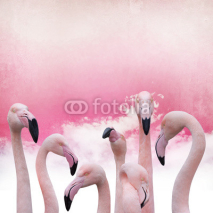 Naklejki pink flamingo background