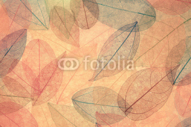 Obrazy i plakaty Autumn background