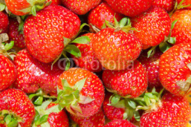 Obrazy i plakaty Background of strawberries