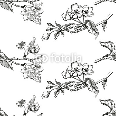 Apple tree sketch Design