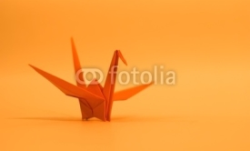 Fototapety orange