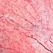 Obrazy i plakaty texture red marble floor