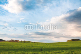 Obrazy i plakaty Nature - Landscape Photo with Green Field and Sky with Clouds
