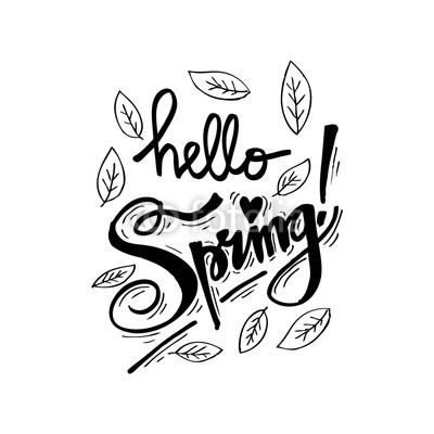 Hello Spring. Hand lettering, calligraphy inscription.