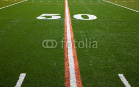 Obrazy i plakaty American Football Field - 50 yard line
