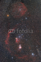 Naklejki Orione nel cielo di notte